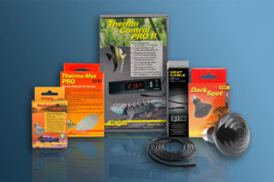 Das Terrarium beheizen: So gelingt die optimale Temperatur