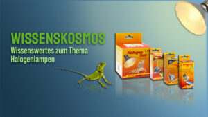 Halogenlampen im Terrarium und das Dimmen