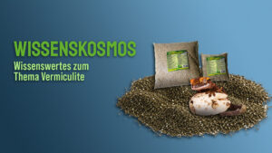Vermiculite – das ideale Brutsubstrat für Reptilieneier